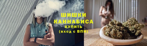 стаф Протвино