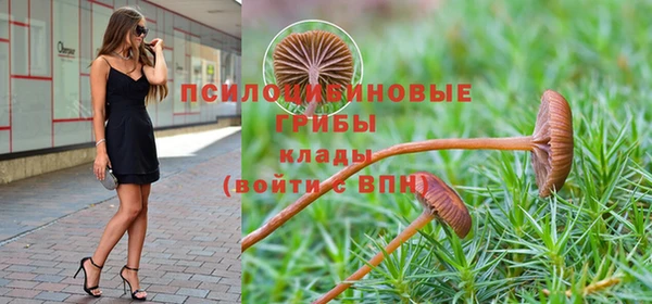 синтетический гашиш Пролетарск
