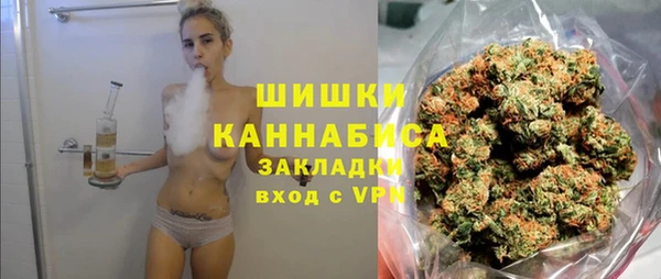 стаф Протвино