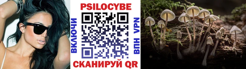 Псилоцибиновые грибы Cubensis  цены   Стрежевой 